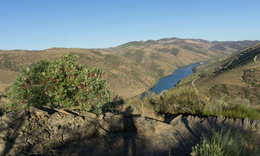 Douro Vila Nova de Foz Coa